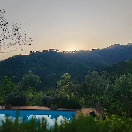 Casa Lavanda Country In Tuscany * 卡麦奥雷