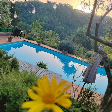 Casa Lavanda Country In Tuscany 卡麦奥雷